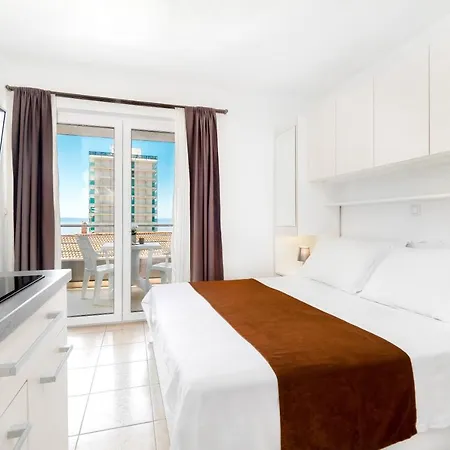 And Vuleta, Close To The Apartament