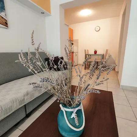 And Vuleta, Close To The Apartman